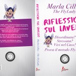 Riflessioni sul lavello – Il metodo FlyLady