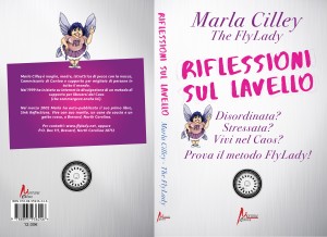 Riflessioni sul lavello – Il metodo FlyLady